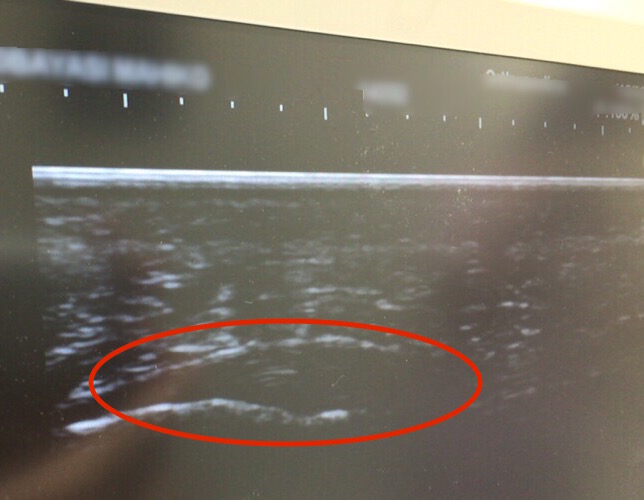 image1(1)