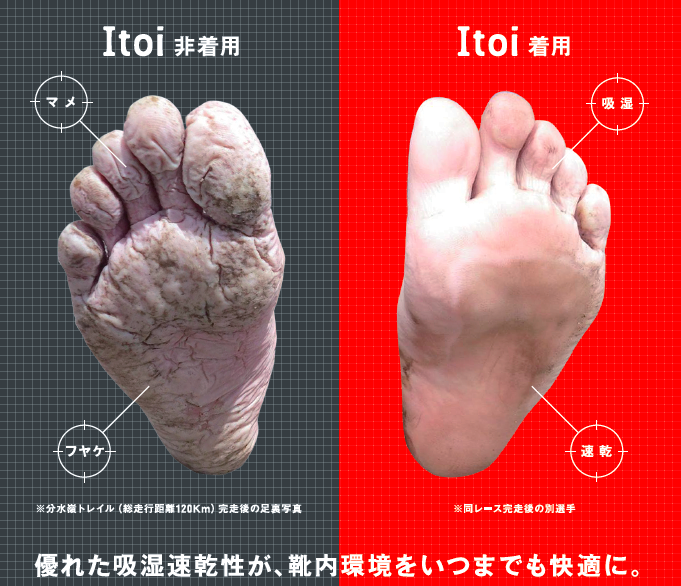 ashiura_hikaku